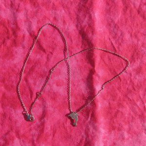 Dolphin Necklace